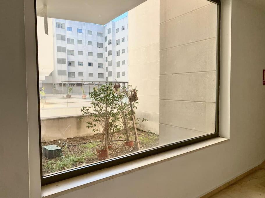 Apartament Apartamento Nuevo Con Piscina, Temporada *
